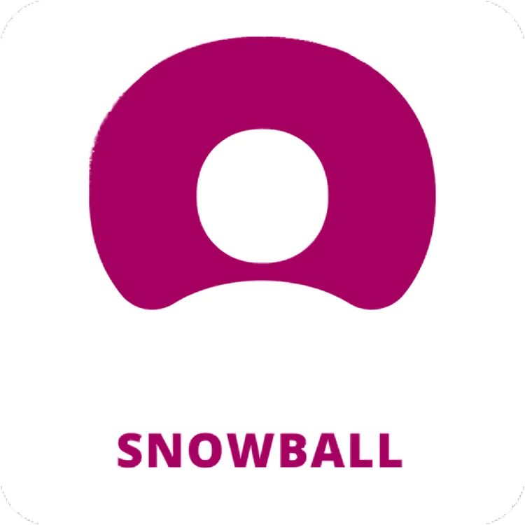 47609-snowball-17386672066151.png