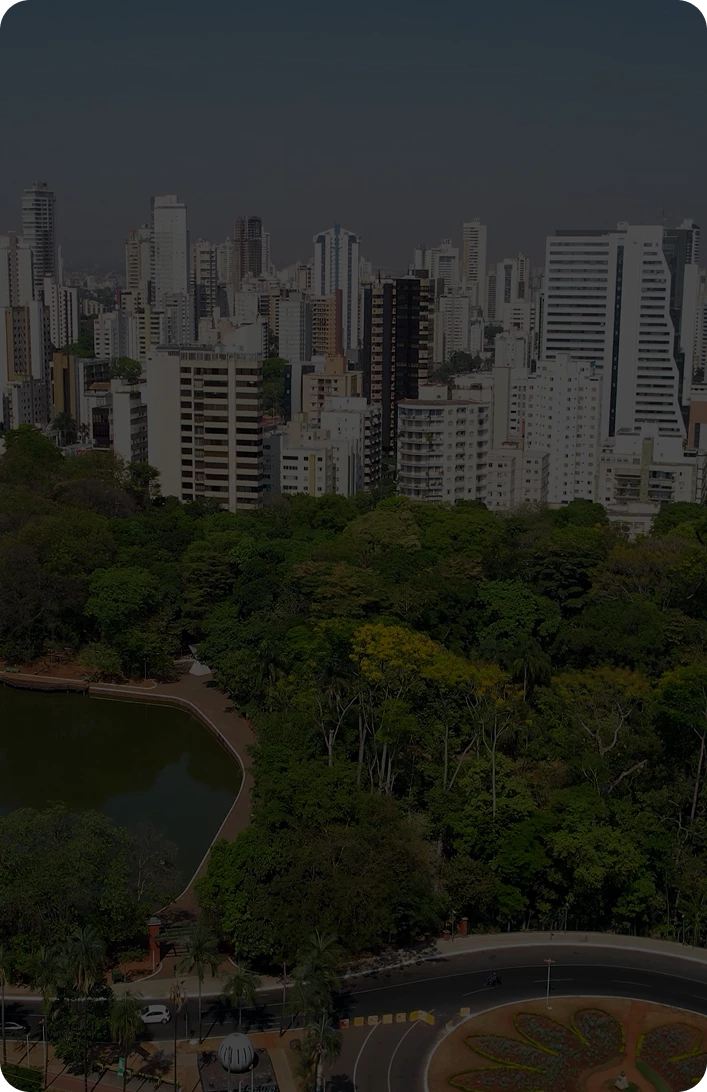 47643-scenic-nature-park-downtown-goiania-goias-brazil-brazilian-midwest-city-3-17407332511752.png